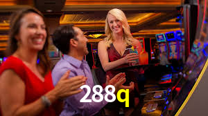 288q,288q.com